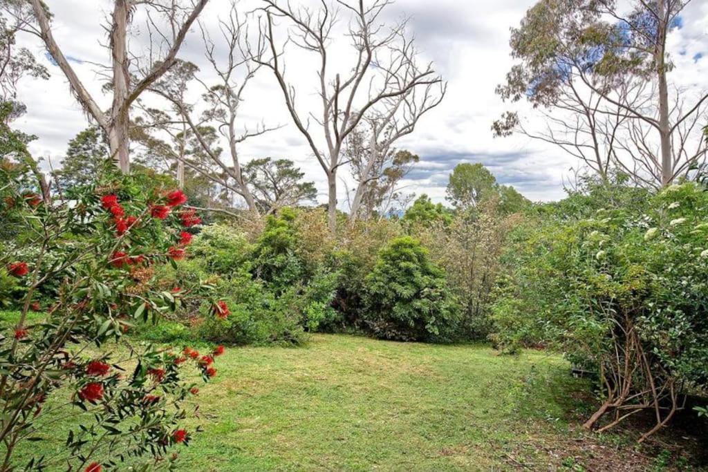 The Black Cockatoo - Secret Garden Treetops Home Katoomba Dış mekan fotoğraf