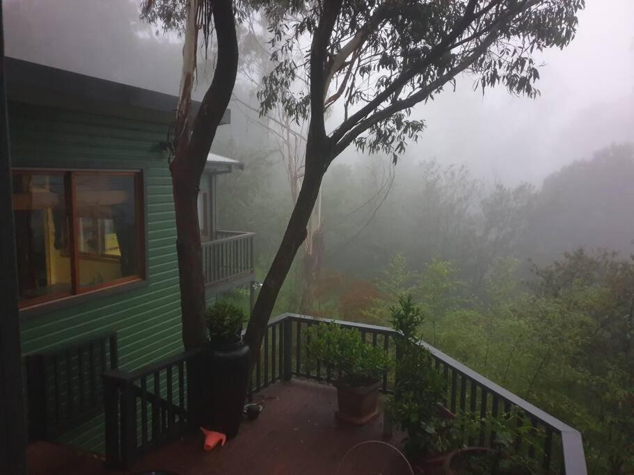 The Black Cockatoo - Secret Garden Treetops Home Katoomba Dış mekan fotoğraf