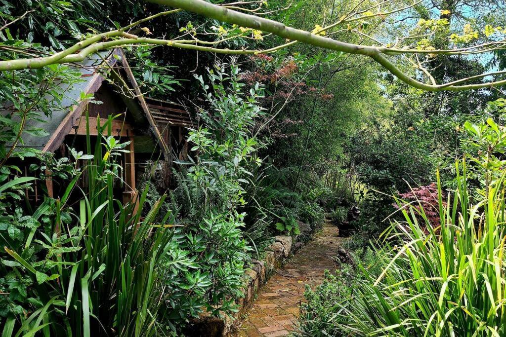 The Black Cockatoo - Secret Garden Treetops Home Katoomba Dış mekan fotoğraf