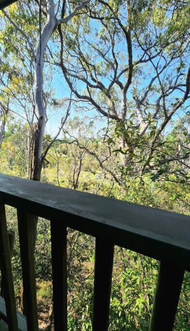 The Black Cockatoo - Secret Garden Treetops Home Katoomba Dış mekan fotoğraf